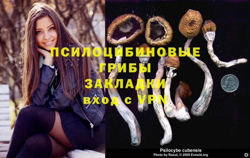 Псилоцибиновые грибы Psilocybine cubensis  где продают   Нижний Ломов 